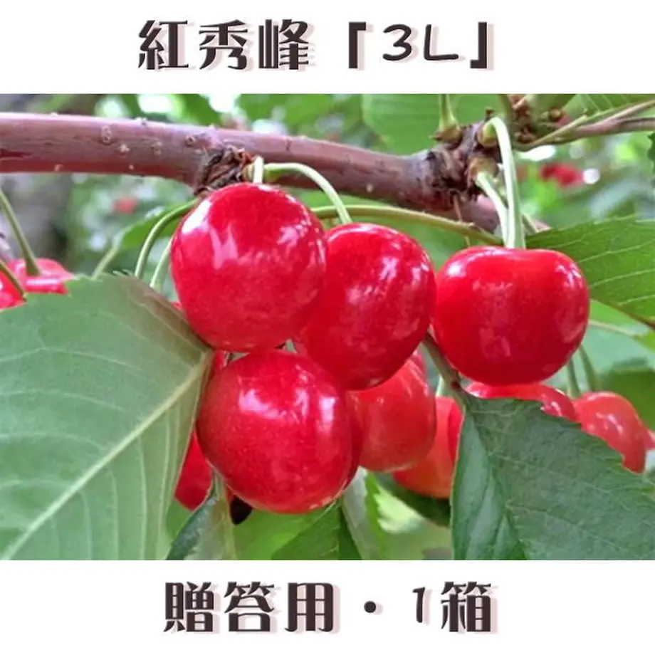5eaea5b25157620ec55f45fb