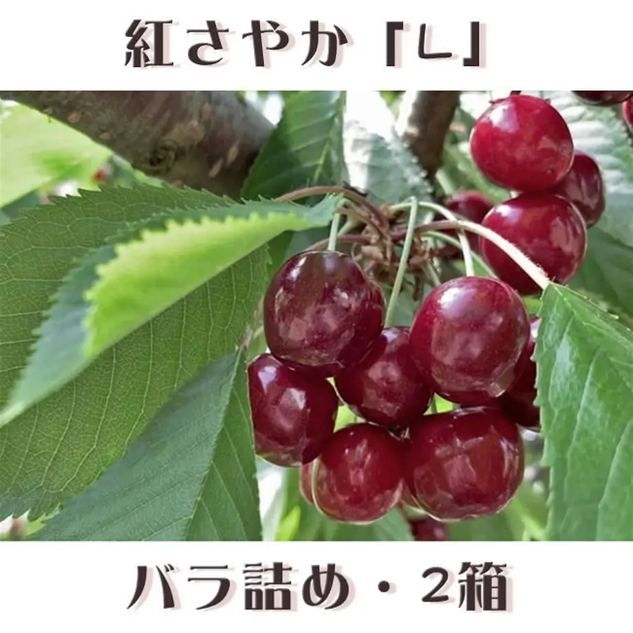 5ee075a1bd217823c85ab30f