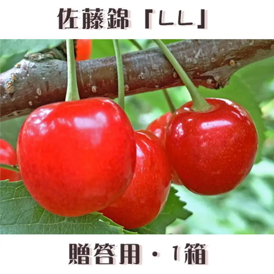 5eaeb82555fa032e783e29f6