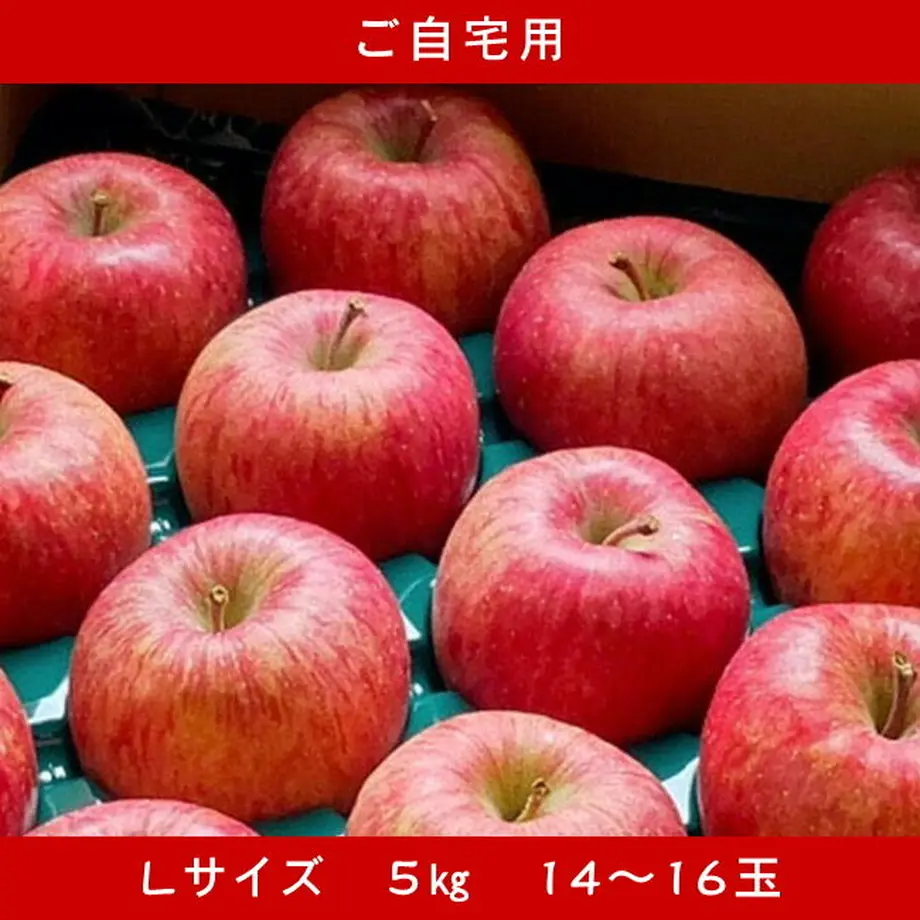 5fb8a336b00aa36f3ebd5ec2