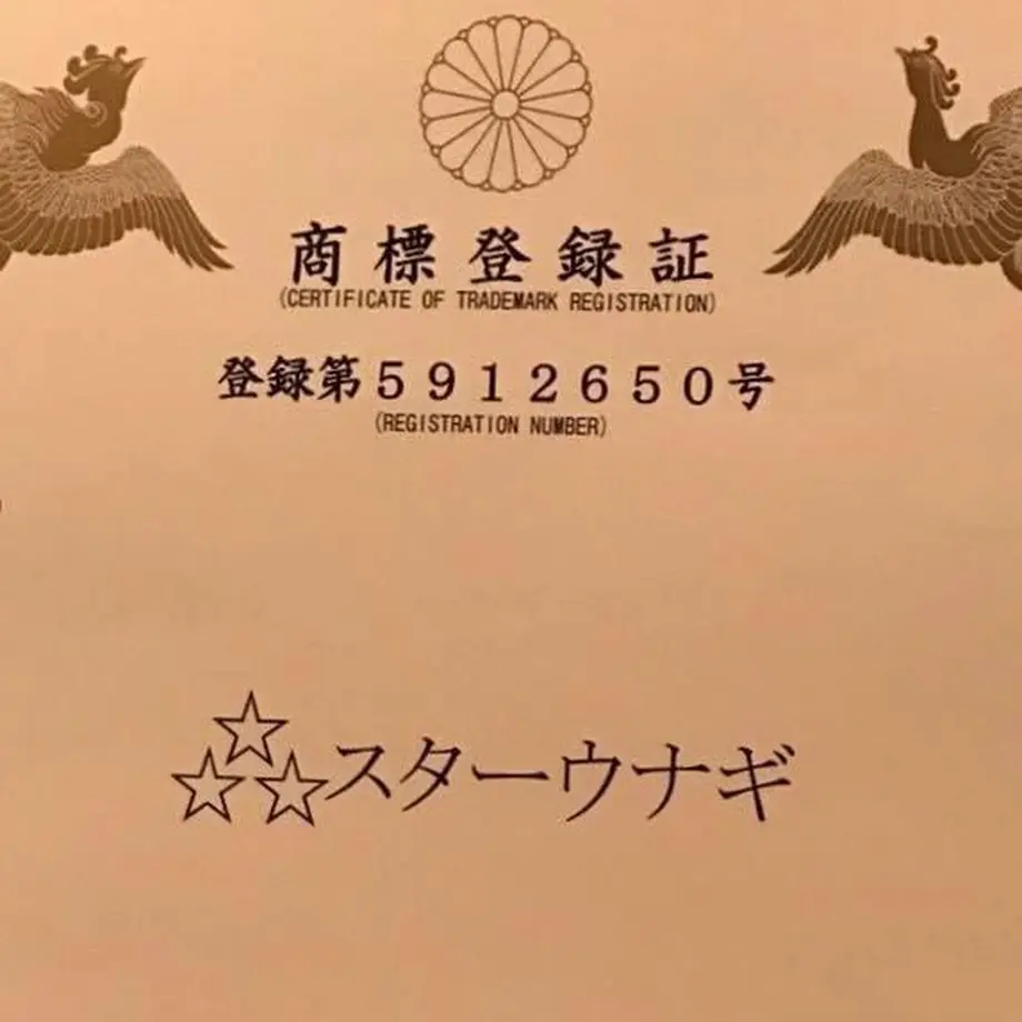 5ebe892f72b9111e96f0ab89
