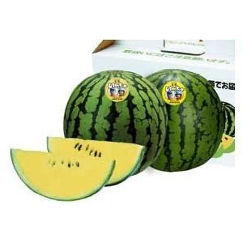 5955ea90c8f22c58ec000dac