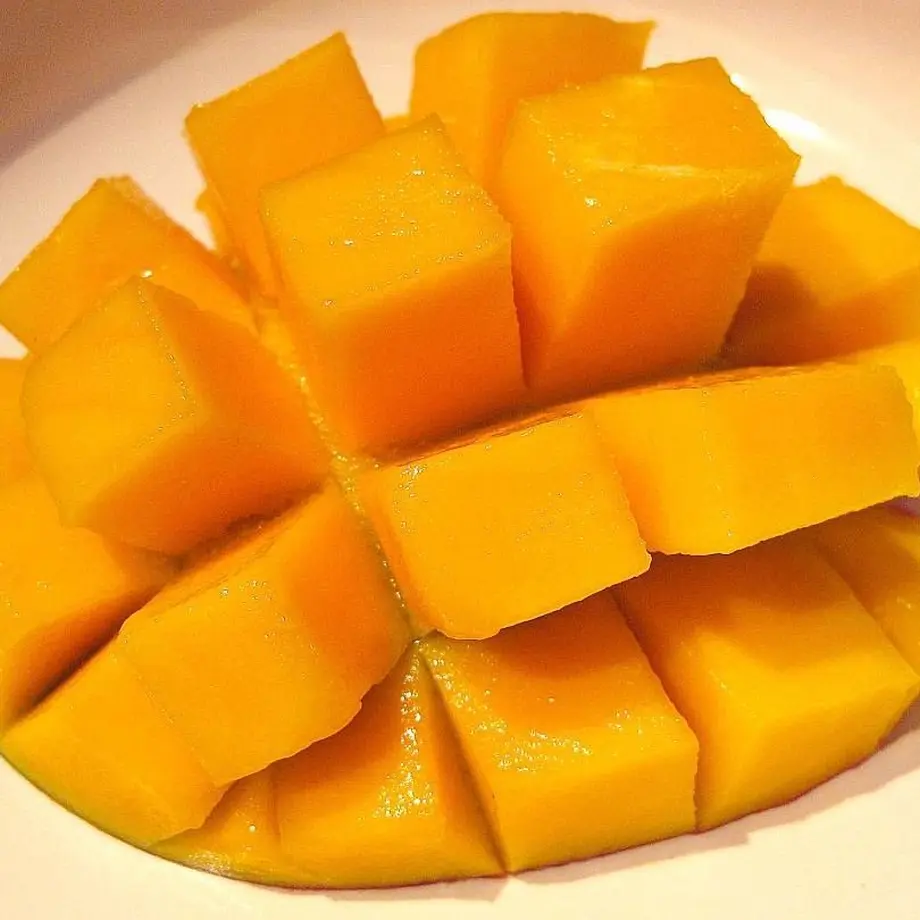 58f03fb6d3b2a0499e00fcba