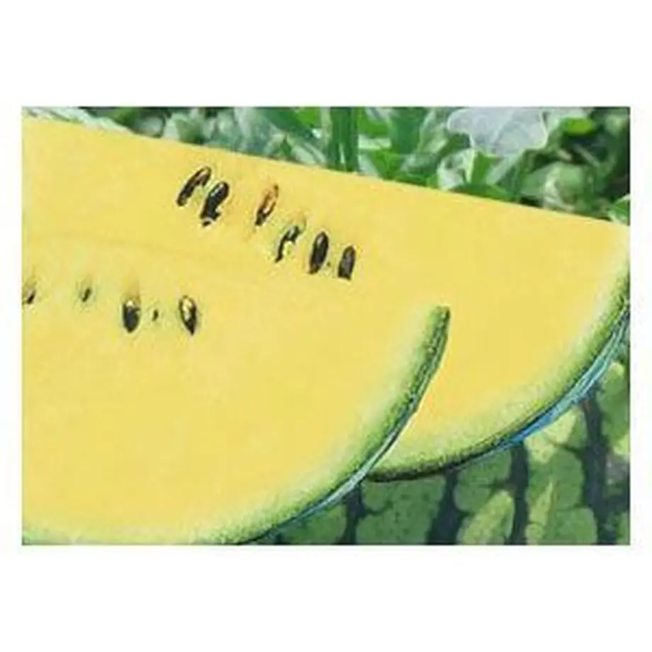 5955ea90c8f22c58ec000dac