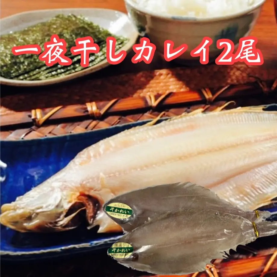 61ea077072c5de375db75101
