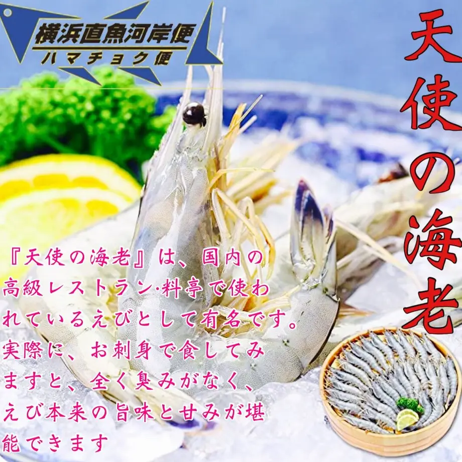 6100e01ed3dc8911208e6e44