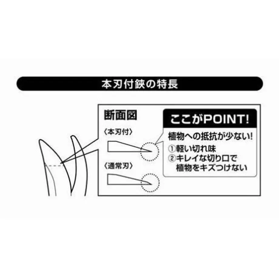 5f62e9defbe5b578ac536d3a