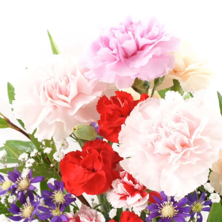 63cc5bb350ea8b069e891c0a