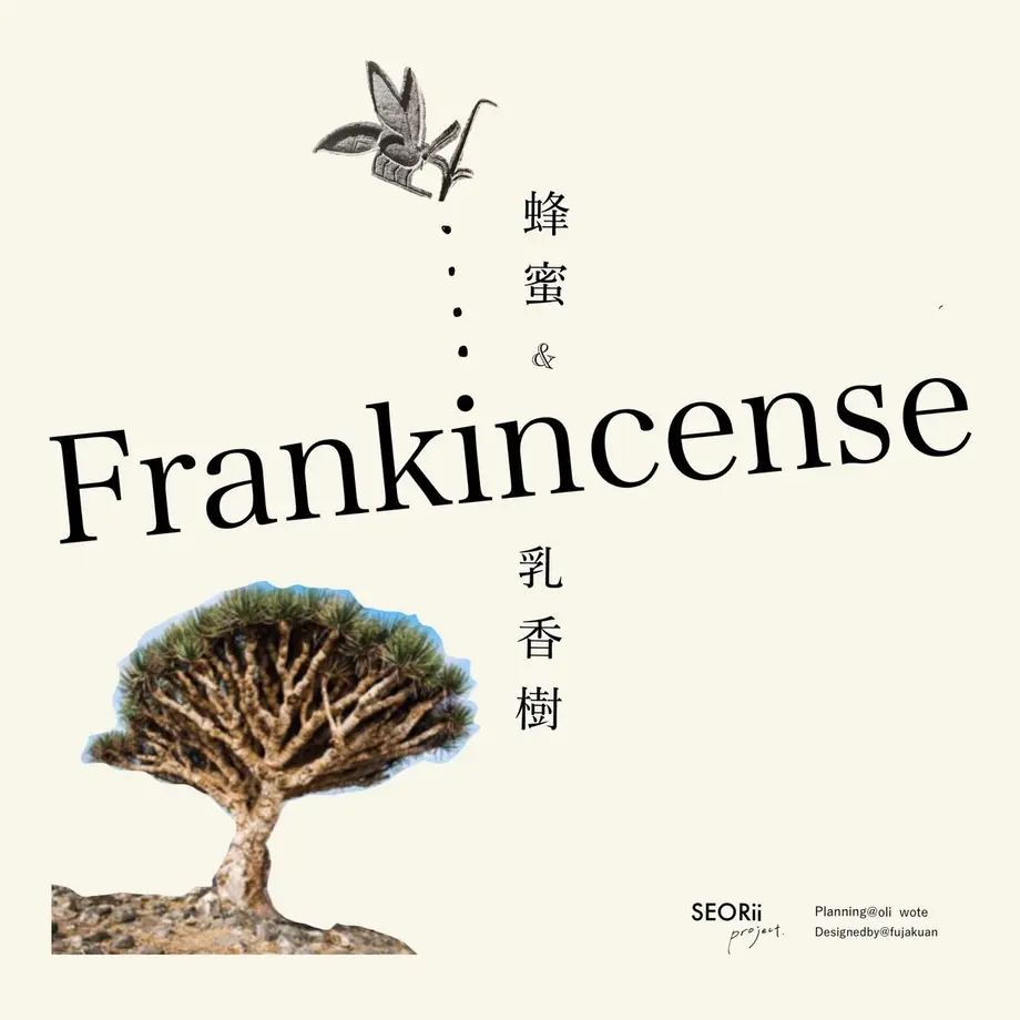 619057852b3ca13c9b949442