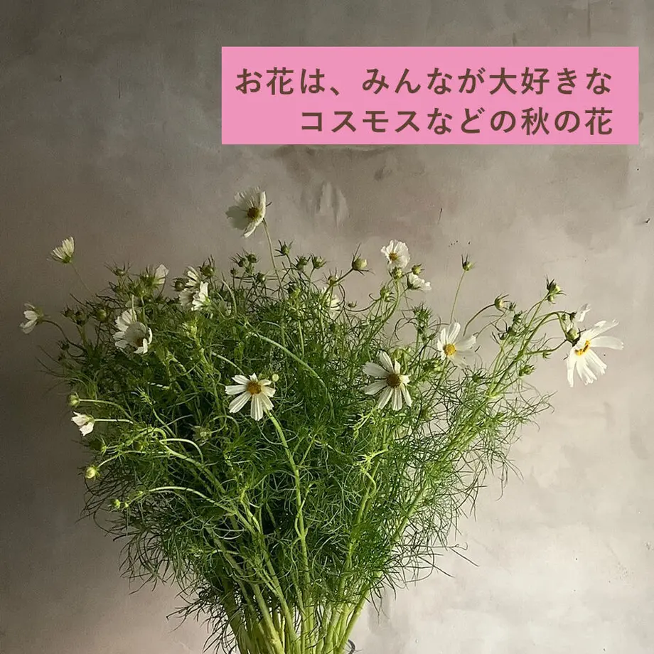 62a3fff0288b8077777db6a6