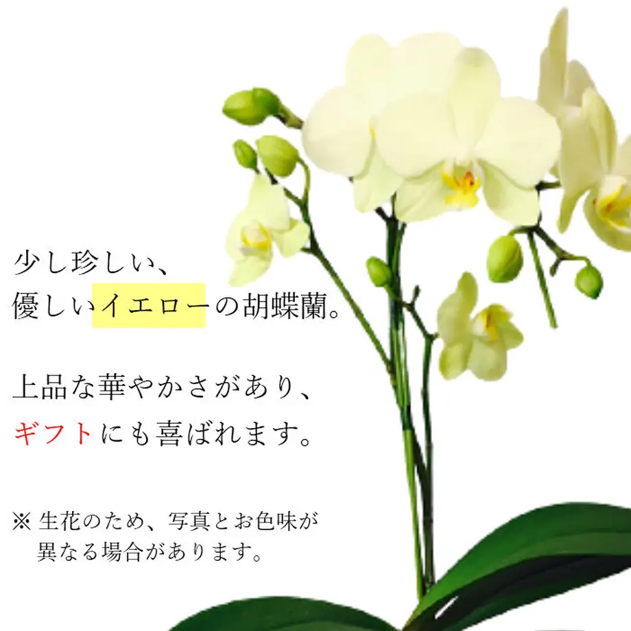 5b41ab2850bbc36c2100082b