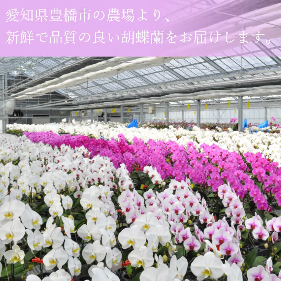 6059962d23055704e6c78fdc