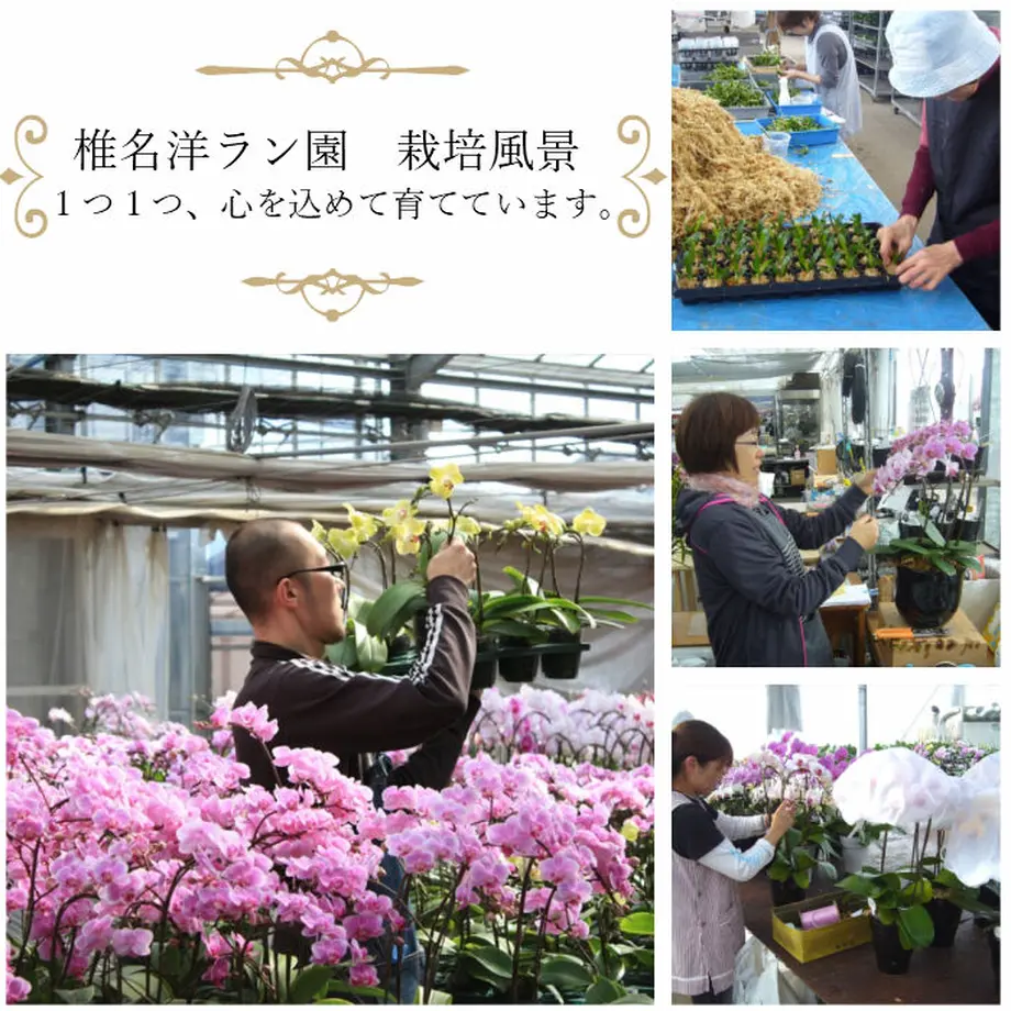 546c38a1ef3377d79800008d