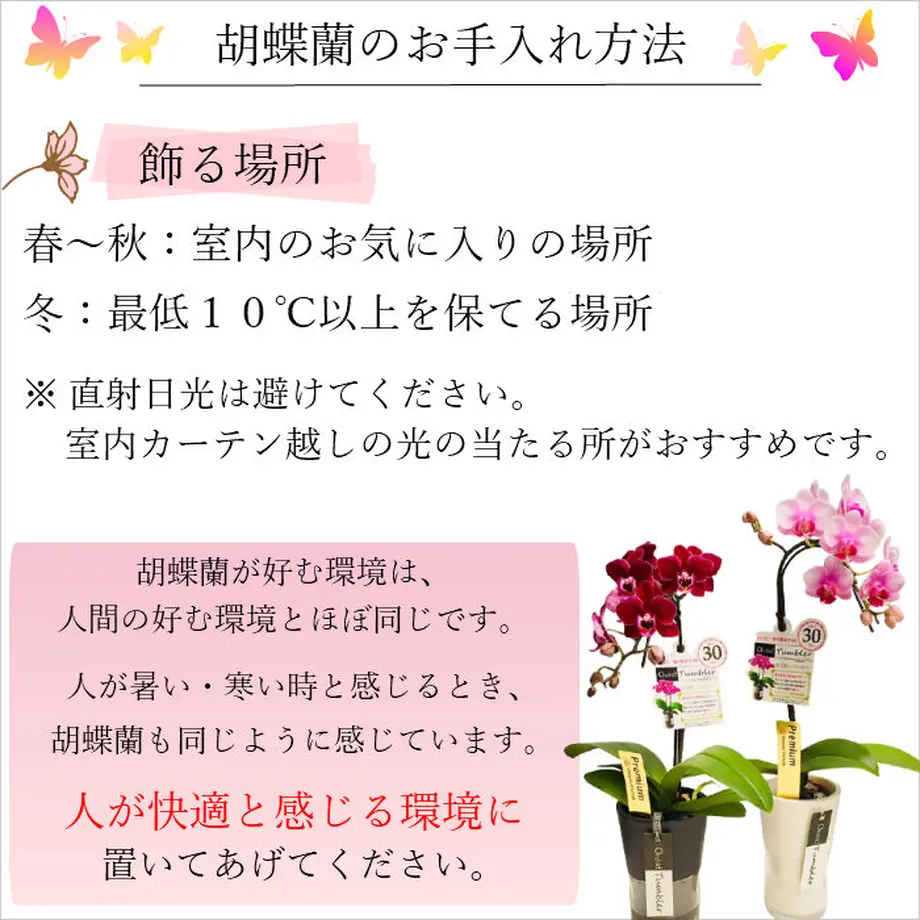 5b41a6a6ef843f2445001d5e