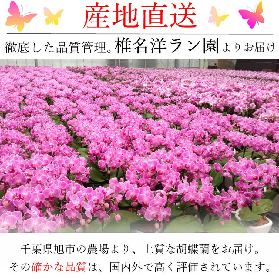 5b41ab2850bbc36c2100082b