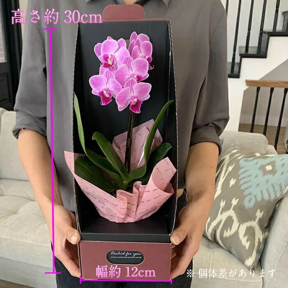 5973ee41ed05e64aae00bf68