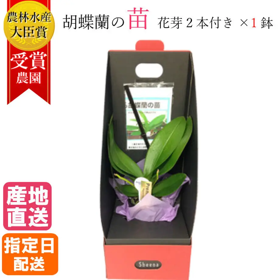 5b700db95f78663fbd000414