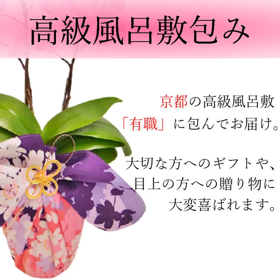 5b41aea1ef843f7bed0008c7