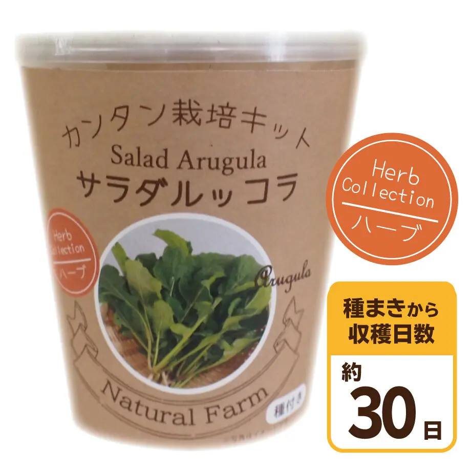 606e913ca87fc524e488cf10