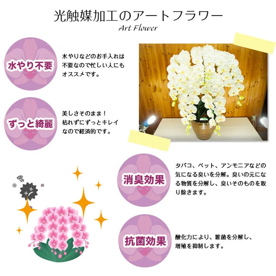 606d6e26a87fc514e718e71a