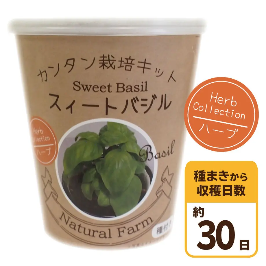 606e9050d5e9c90bf43a152f