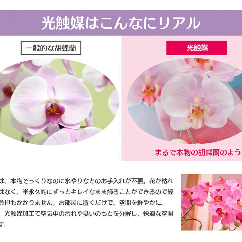 606d6bb6a87fc56107361cef
