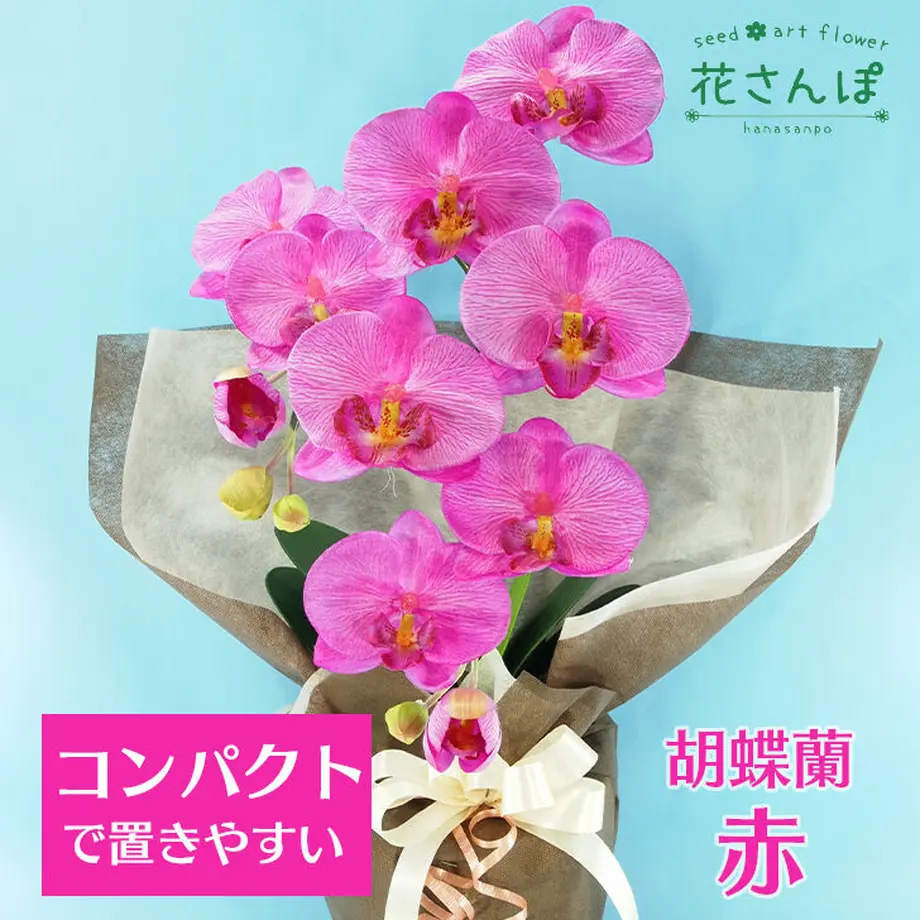 606d6bb6a87fc56107361cef