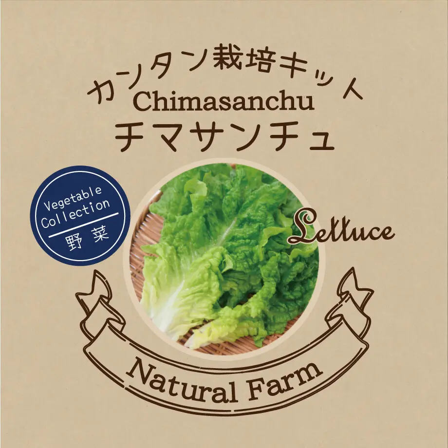 606e90d82305573e184856fc