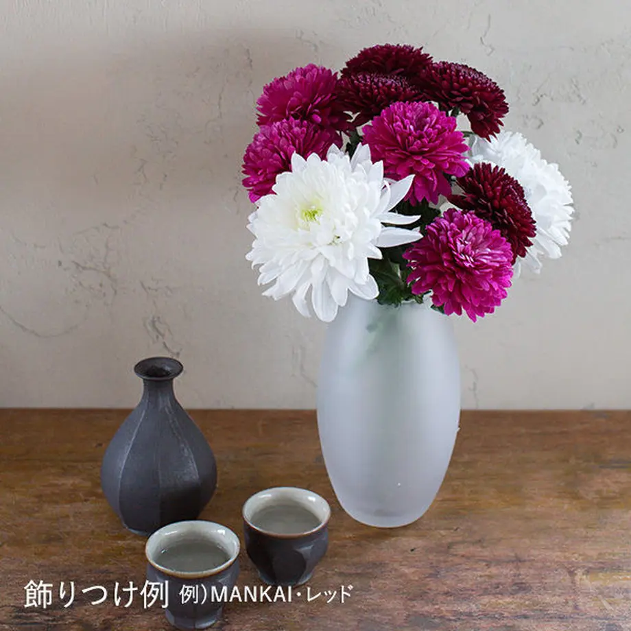 58da10ae1a704bc9850016b4