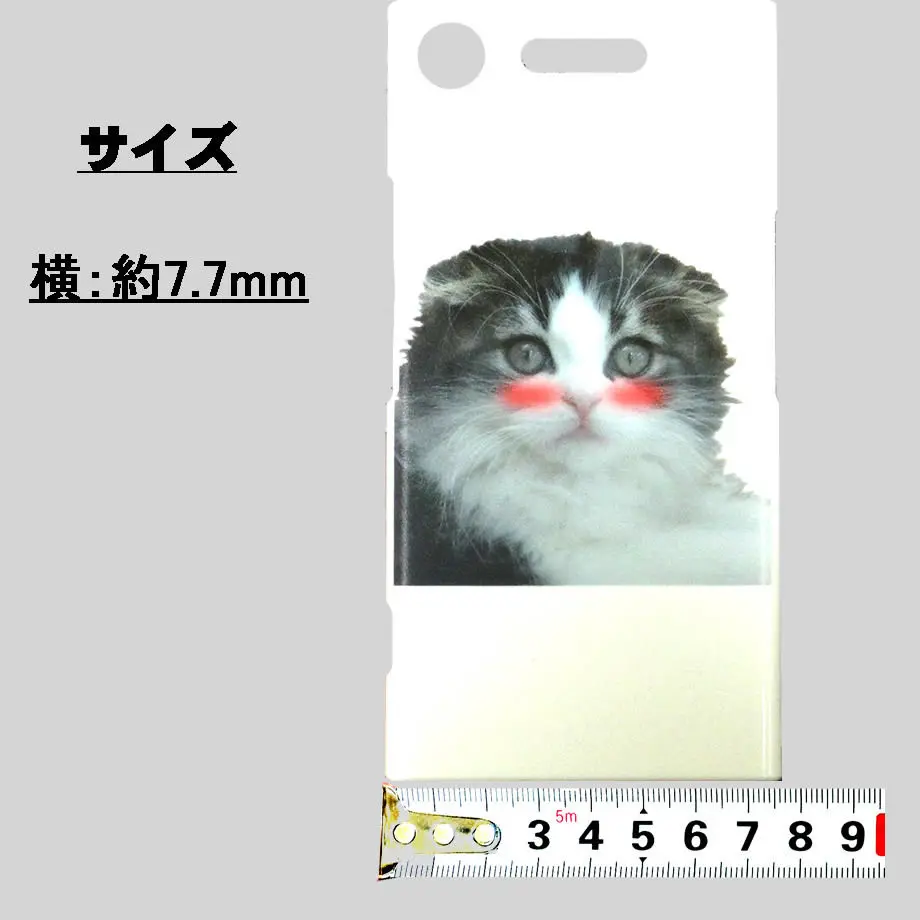 5dc466b1637944061f89cb06