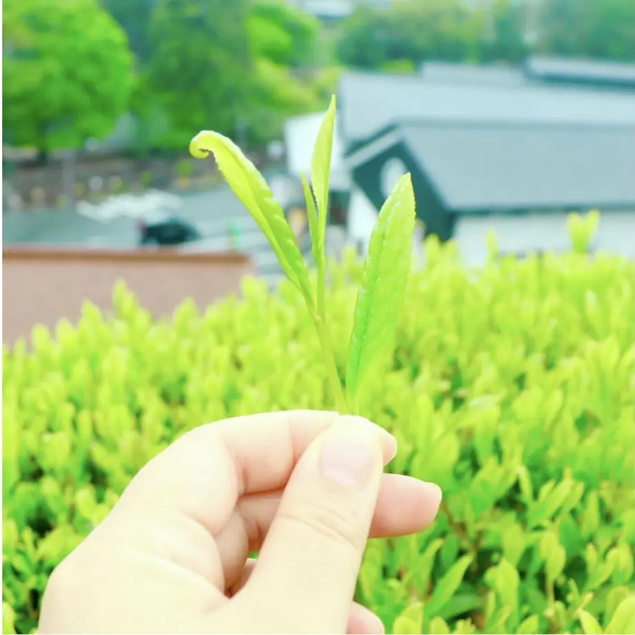 60b3328a1945c761870e3024