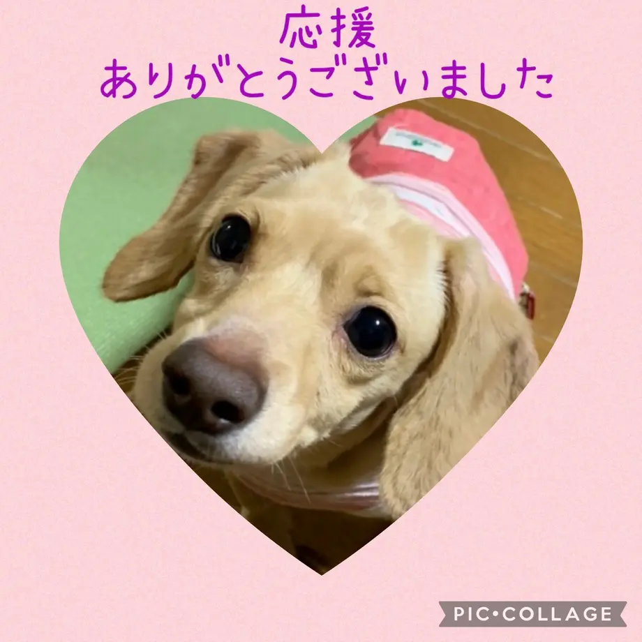 61a87bf97d278d4962e1196b