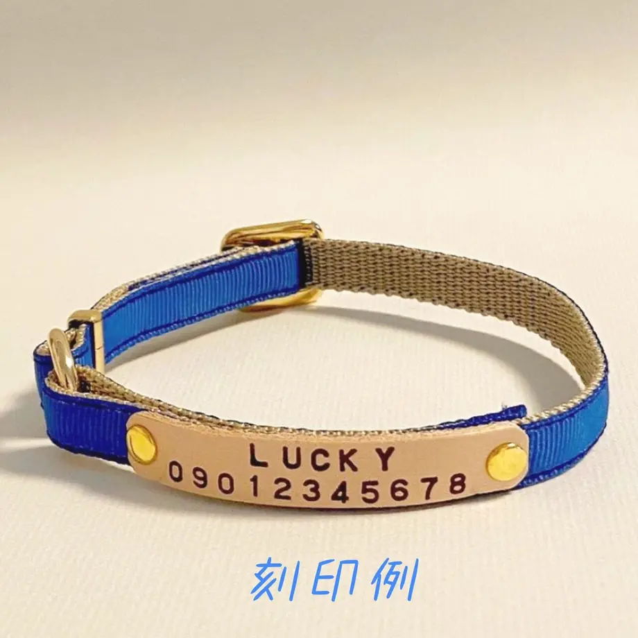 6049e81631862572a8f42889