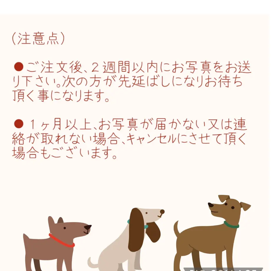 63abd2c96a2a0a6f00b8ebc4