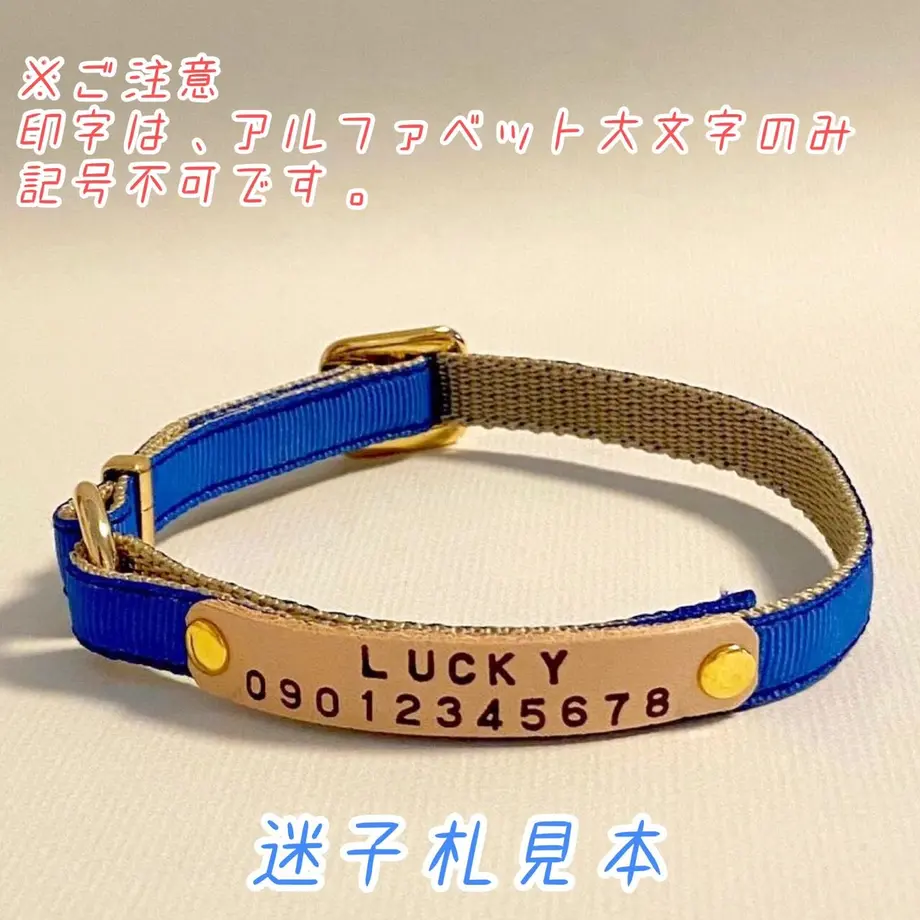 608a83c2da019c1560abea9d