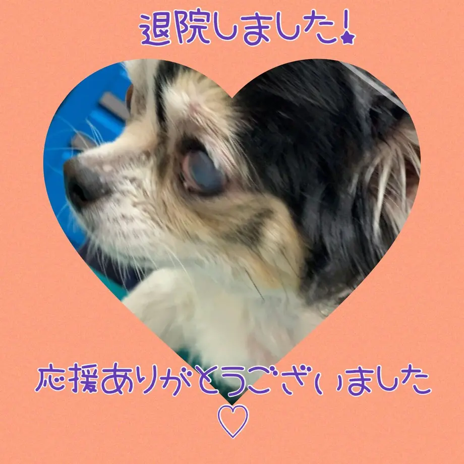 609cf67d50a48a500b102e24