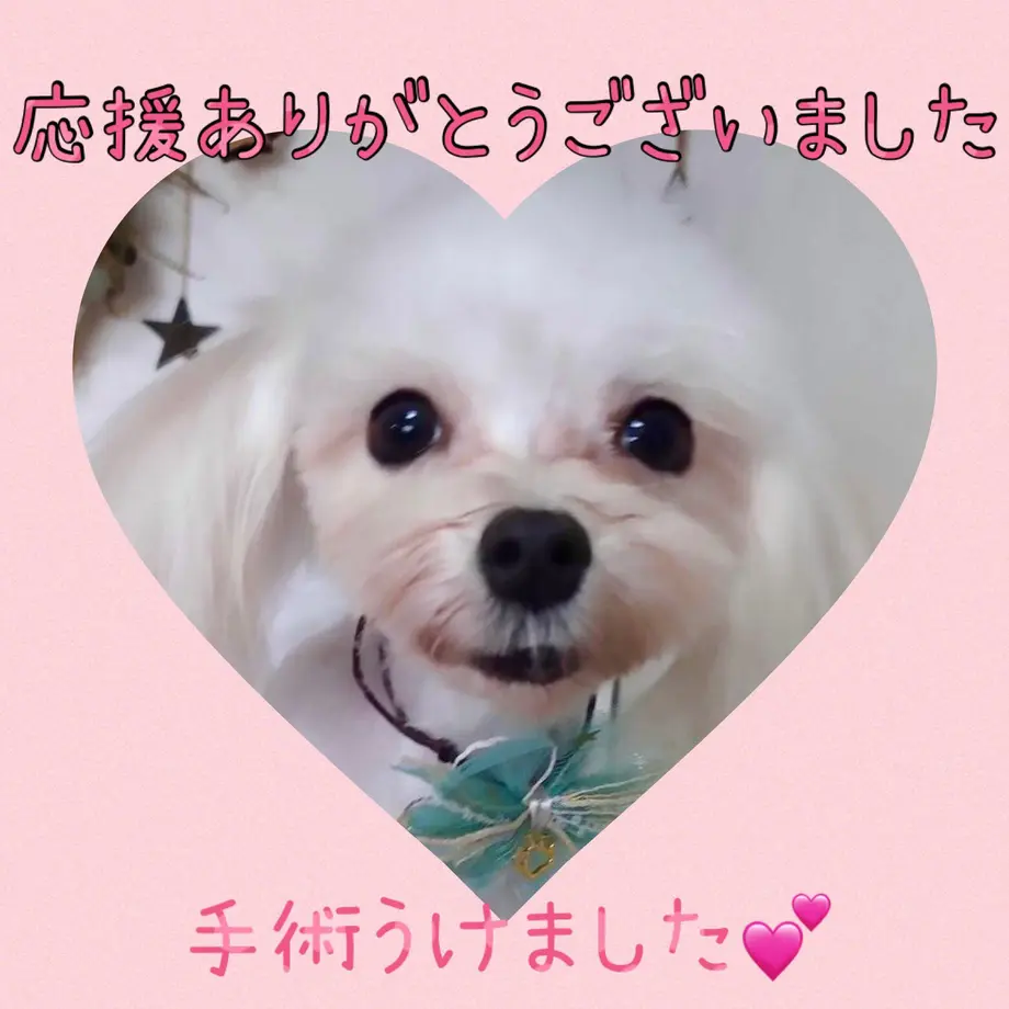 60812d4bdf62a949bb7c2724