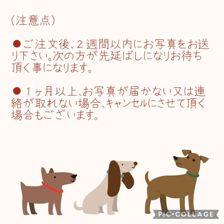 63aea6d44293511e424ce510