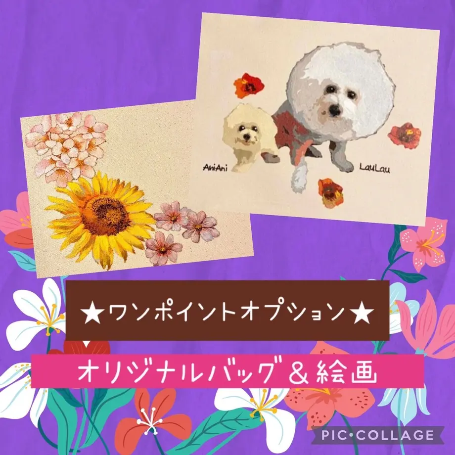 63aea6d44293511e424ce510