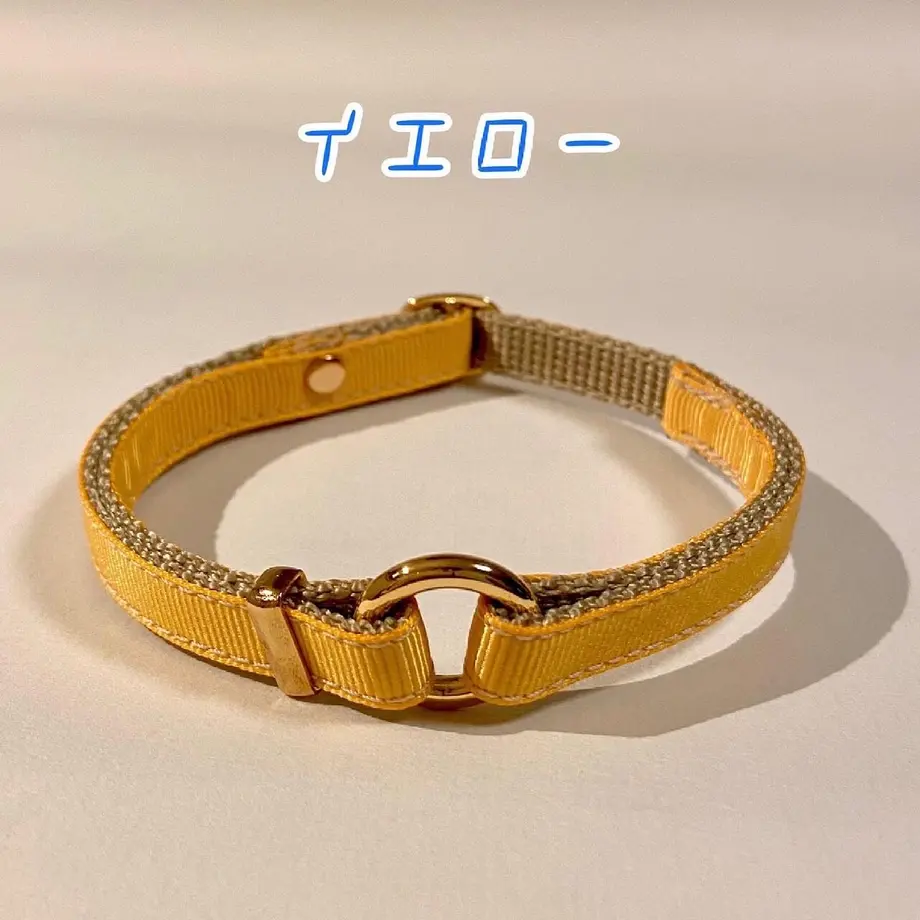 6049e81631862572a8f42889