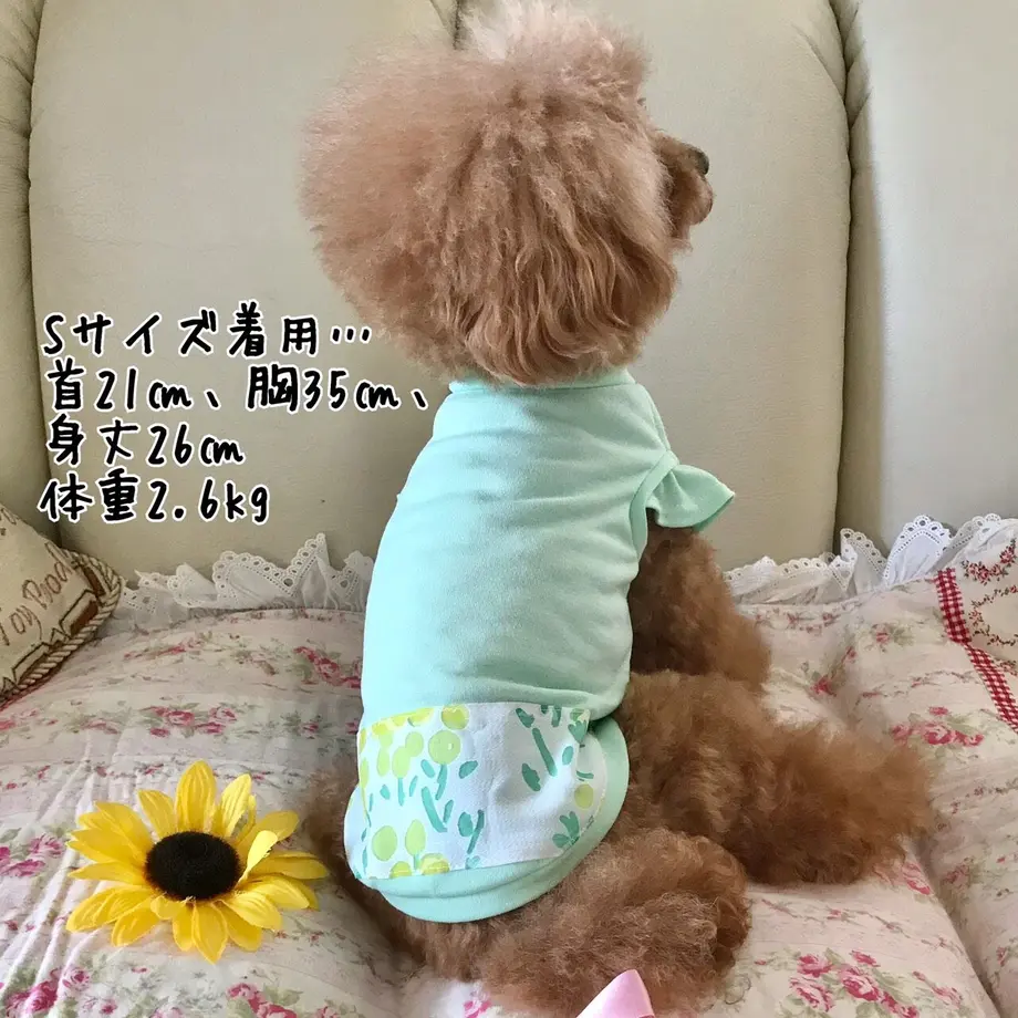 6114f6d684ca63377e6df855