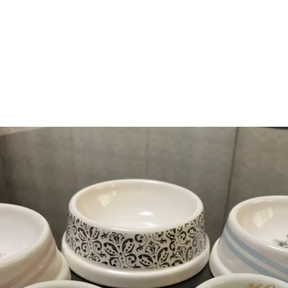 603a03893186250ae1b06a82