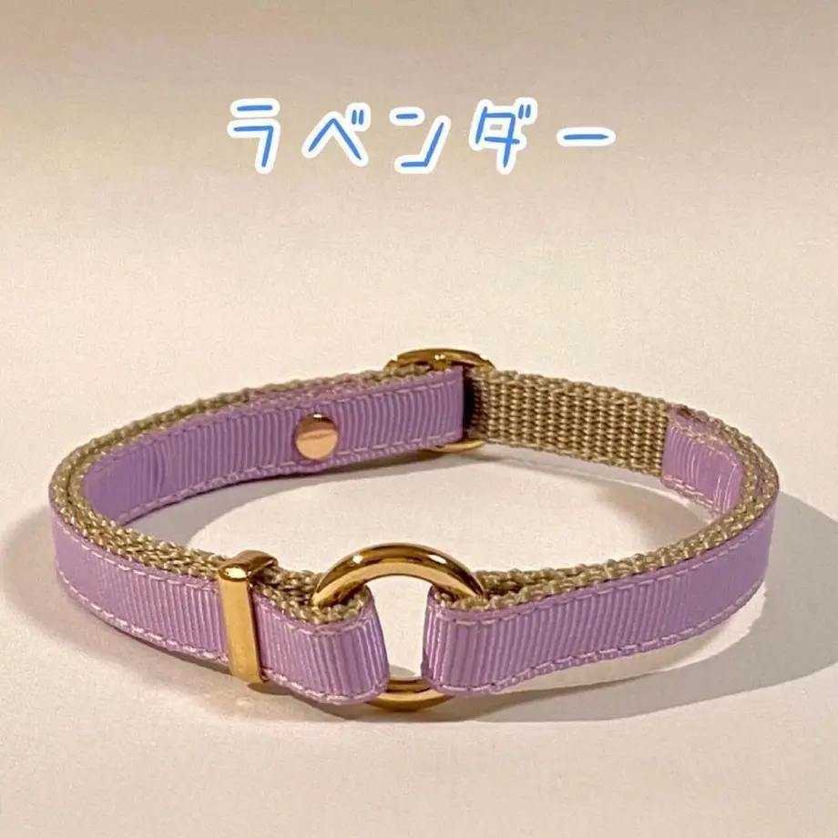 6049e81631862572a8f42889