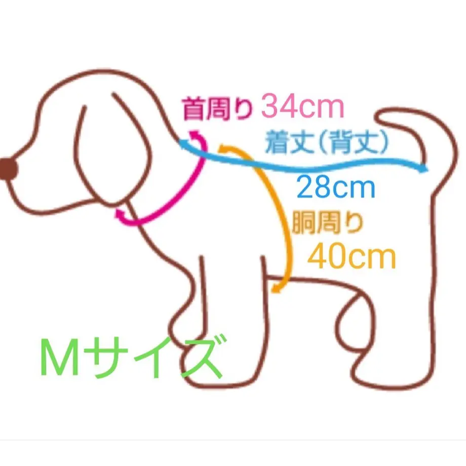61a893c64adba039e04b0654