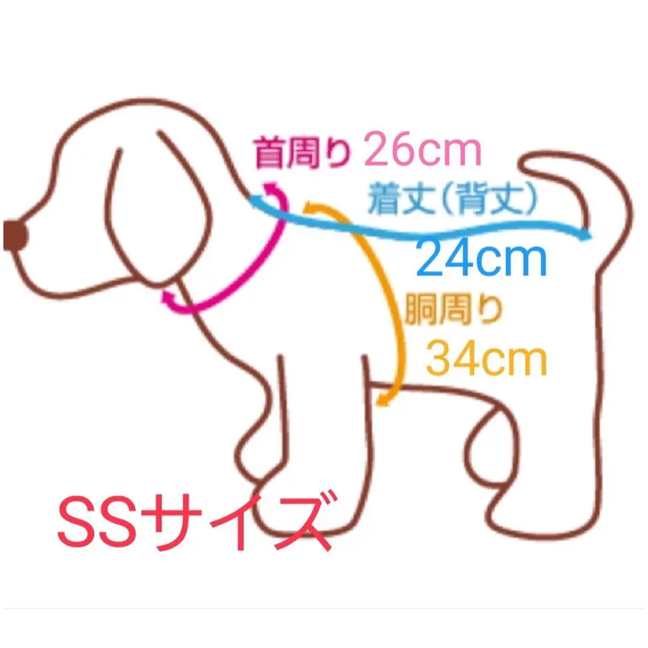 61d69bdf47a53409f3749572