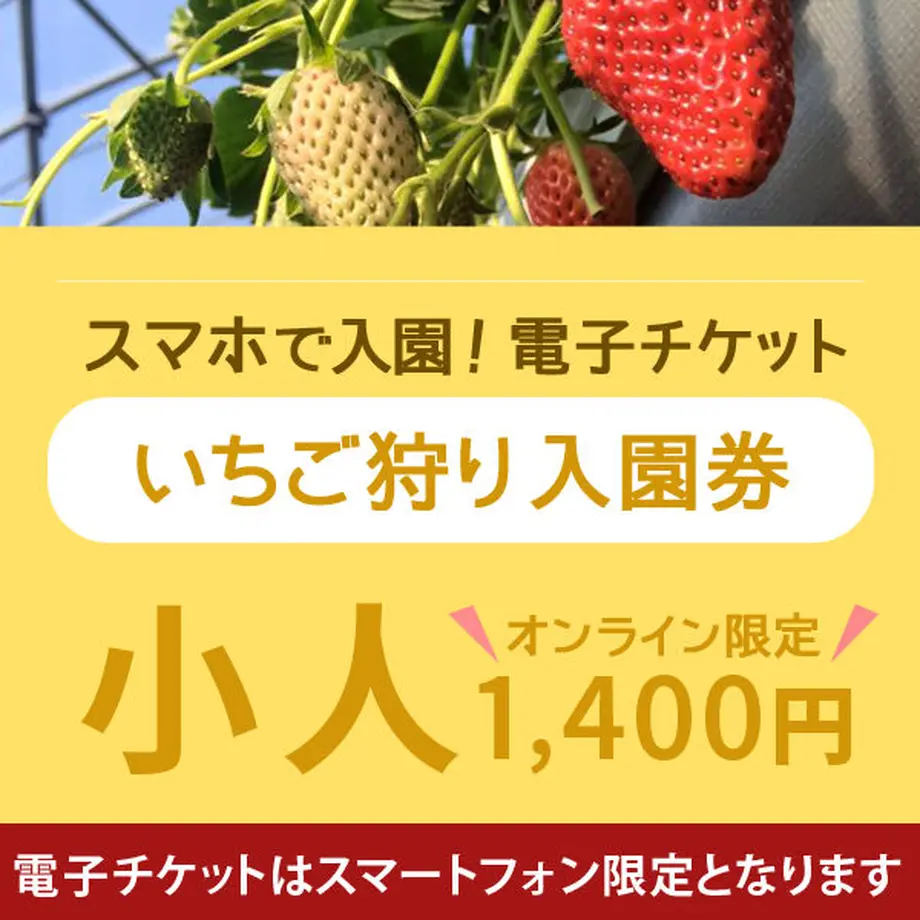 5befbe755f786644c7000665