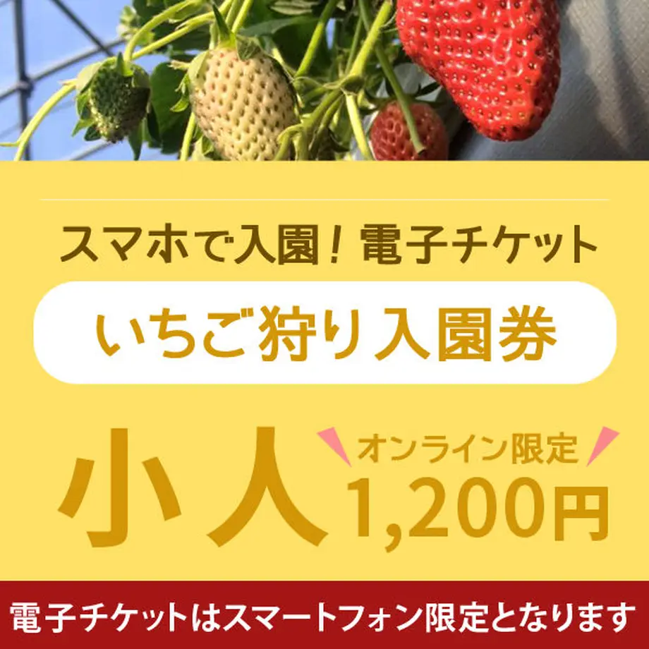 5befbb38ef843f0cd70003d6