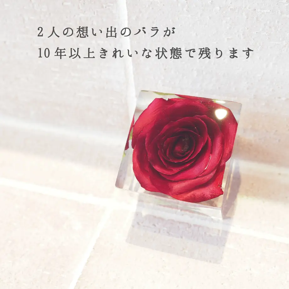 5f470c5e223ead77769ad65e