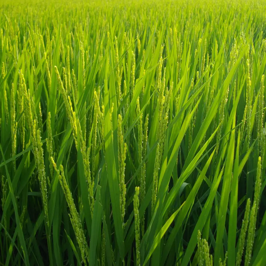 5ddb68ff6c02357f6f331eba