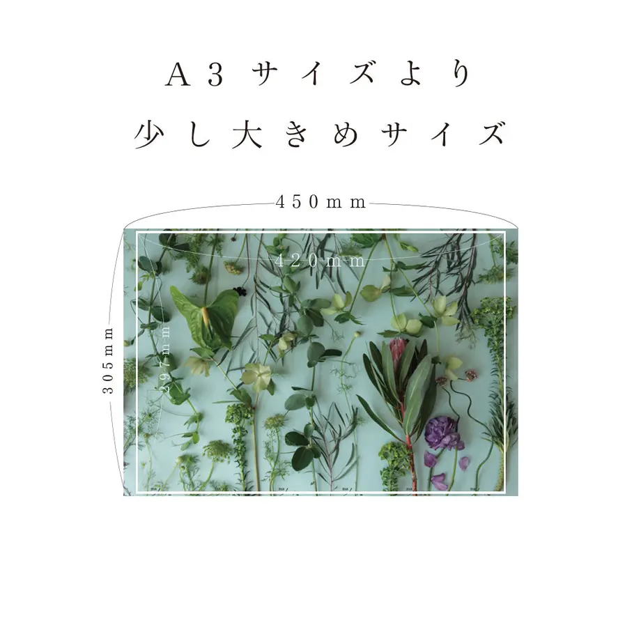 5f35006aafaa9d57a7a8b10c